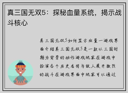 真三国无双5：探秘血量系统，揭示战斗核心